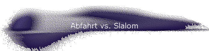 Abfahrt vs. Slalom